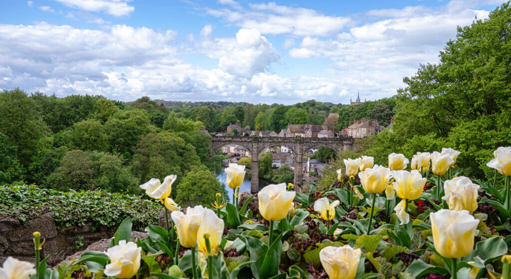 Knaresborough Viaduct